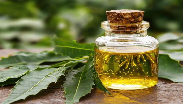 Neem Oil
