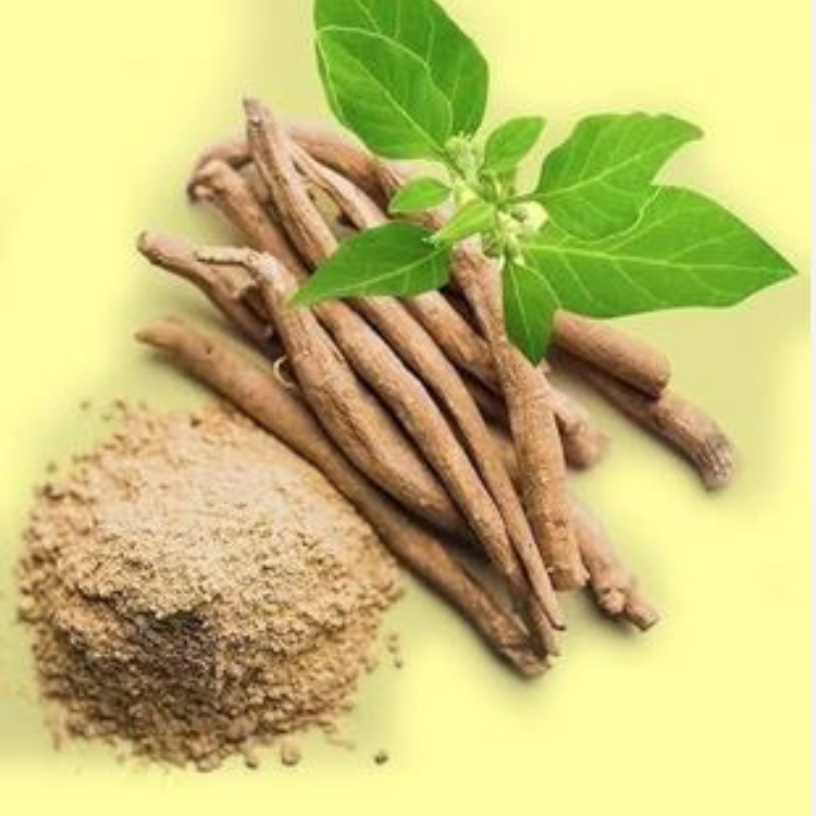 Untitled design (12)