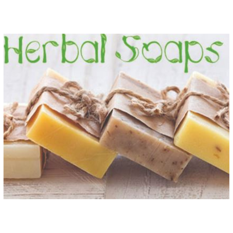 Untitled design (14)